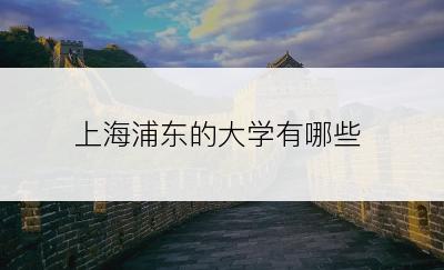 上海浦东的大学有哪些