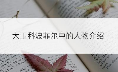 大卫科波菲尔中的人物介绍