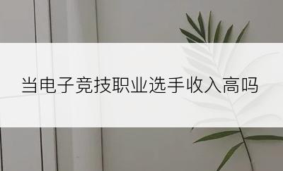 当电子竞技职业选手收入高吗