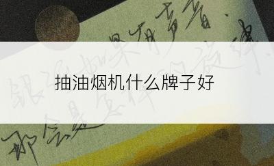 抽油烟机什么牌子好