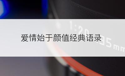 爱情始于颜值经典语录