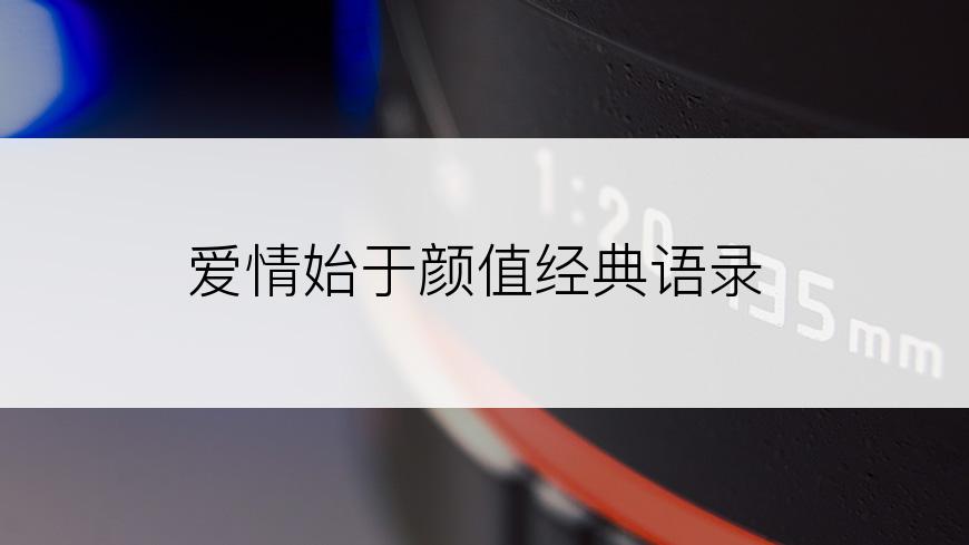 爱情始于颜值经典语录