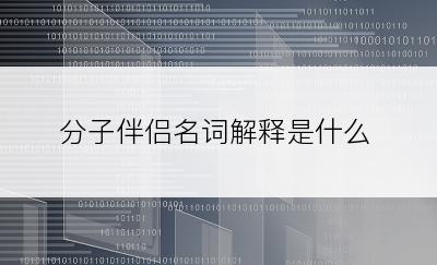 分子伴侣名词解释是什么