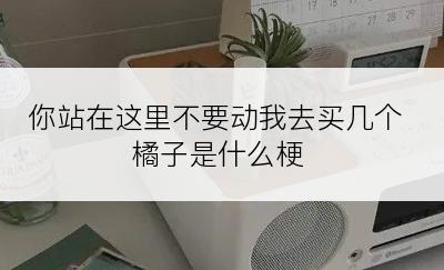 你站在这里不要动我去买几个橘子是什么梗