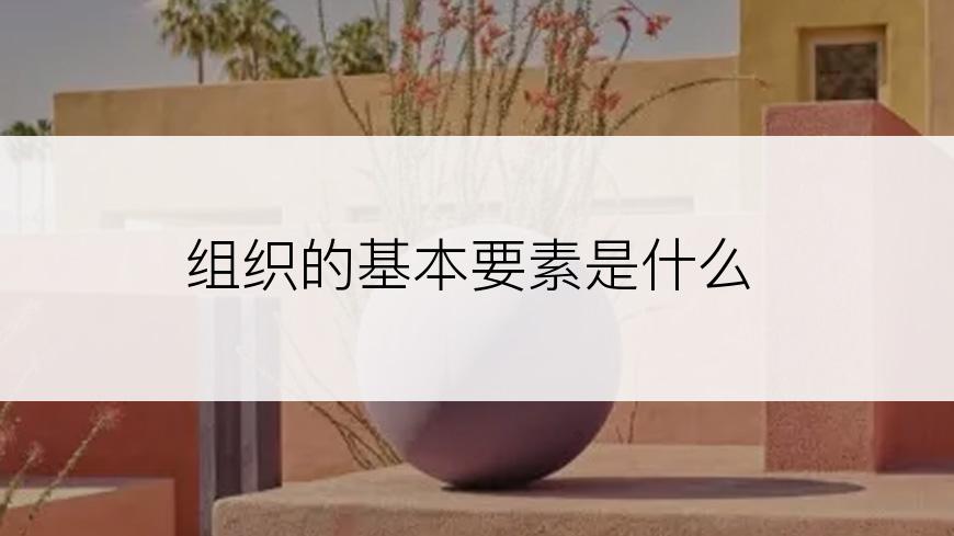 组织的基本要素是什么