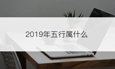 2019年五行属什么