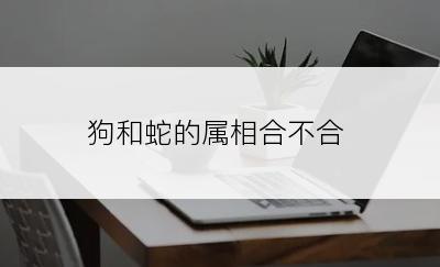 狗和蛇的属相合不合