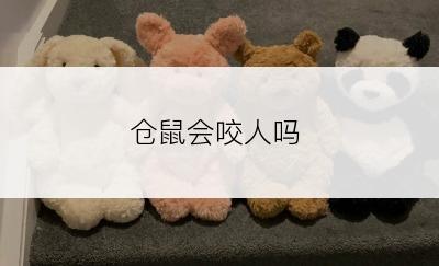 仓鼠会咬人吗