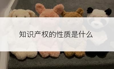 知识产权的性质是什么