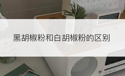 黑胡椒粉和白胡椒粉的区别