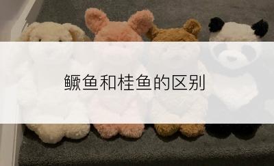 鳜鱼和桂鱼的区别