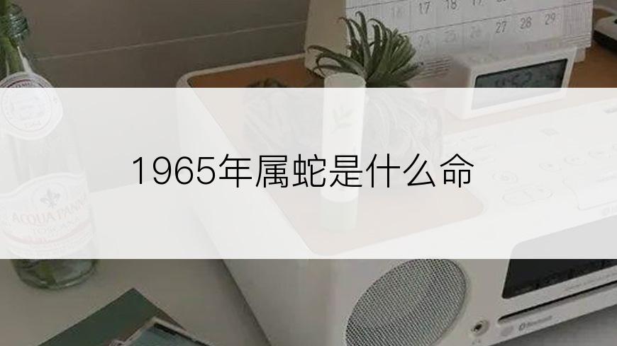 1965年属蛇是什么命