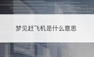 梦见赶飞机是什么意思