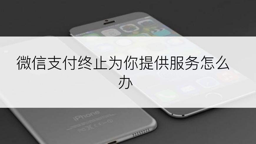 微信支付终止为你提供服务怎么办