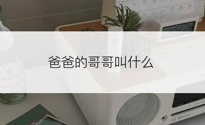 爸爸的哥哥叫什么