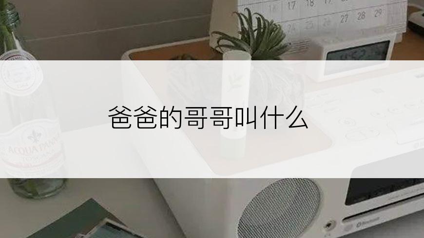 爸爸的哥哥叫什么