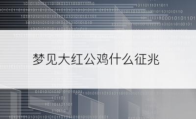 梦见大红公鸡什么征兆