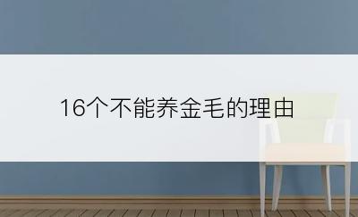 16个不能养金毛的理由