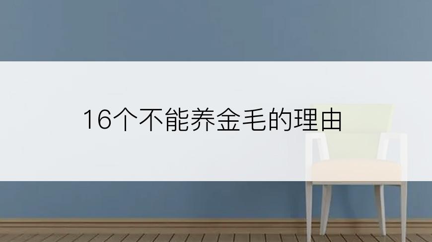 16个不能养金毛的理由