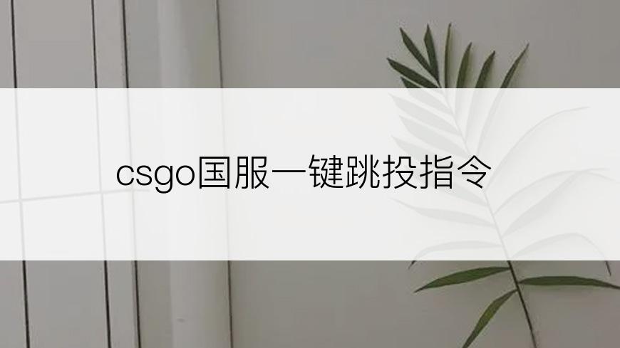 csgo国服一键跳投指令