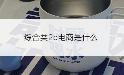 综合类2b电商是什么