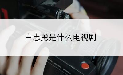 白志勇是什么电视剧