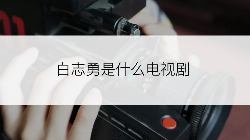 白志勇是什么电视剧