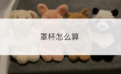 罩杯怎么算