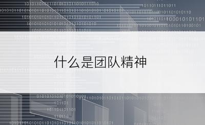 什么是团队精神