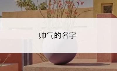 帅气的名字