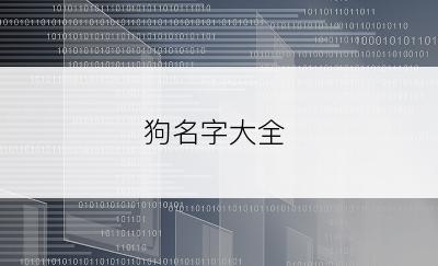 狗名字大全