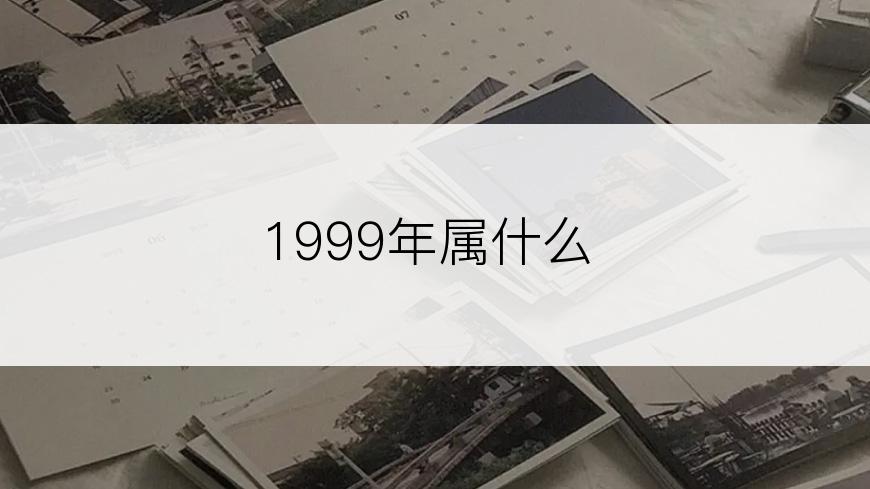 1999年属什么