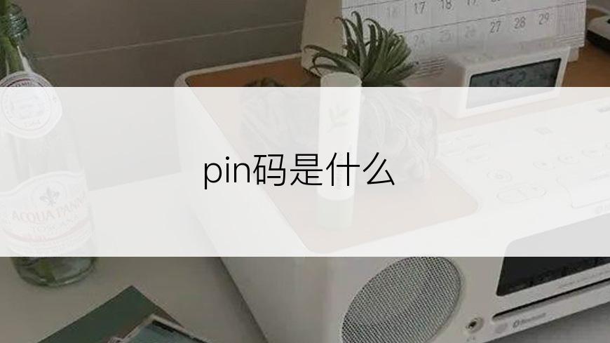 pin码是什么