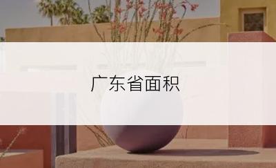 广东省面积