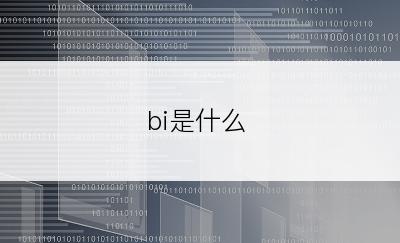 bi是什么