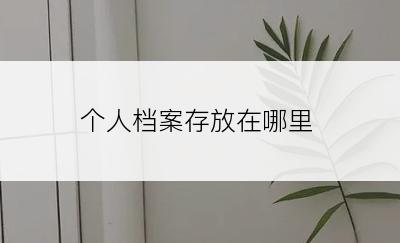 个人档案存放在哪里