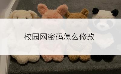 校园网密码怎么修改