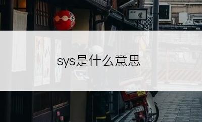 sys是什么意思