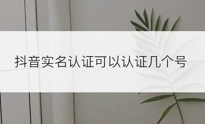 抖音实名认证可以认证几个号