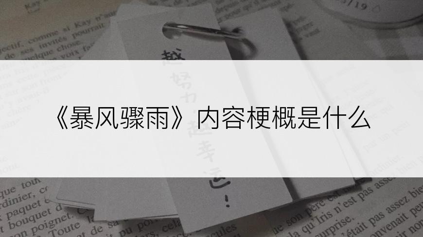 《暴风骤雨》内容梗概是什么