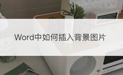 Word中如何插入背景图片