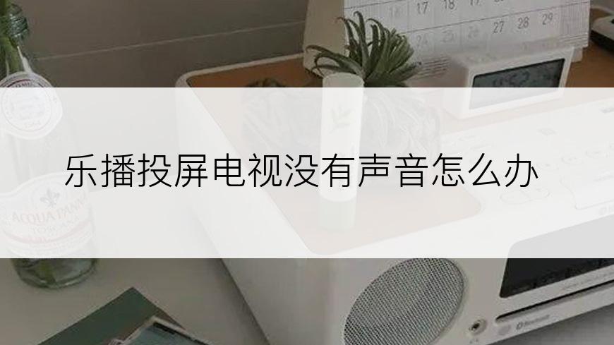 乐播投屏电视没有声音怎么办