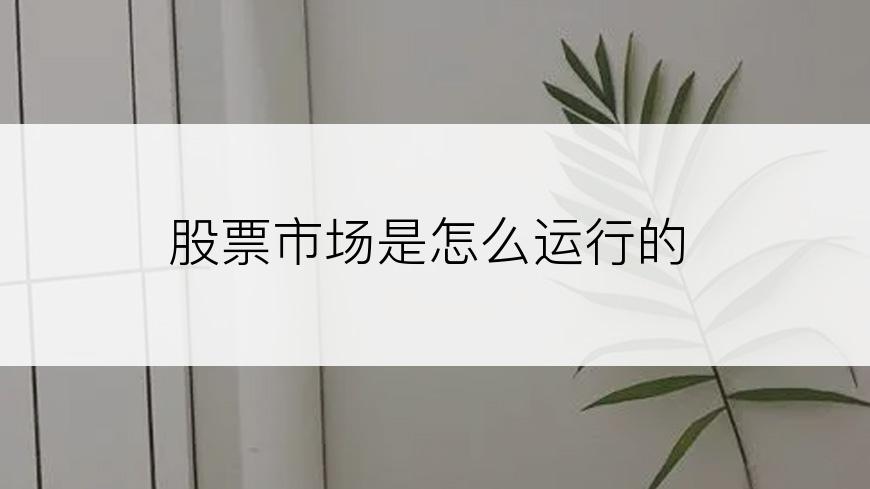 股票市场是怎么运行的