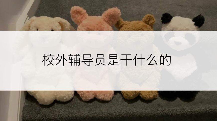 校外辅导员是干什么的