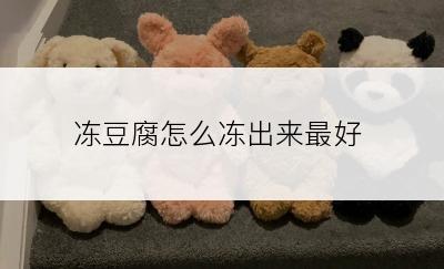 冻豆腐怎么冻出来最好