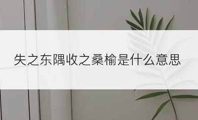 失之东隅收之桑榆是什么意思