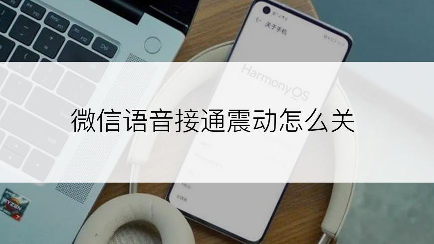 微信语音接通震动怎么关