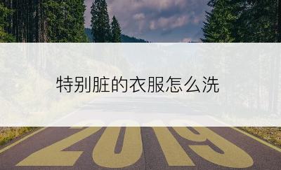 特别脏的衣服怎么洗