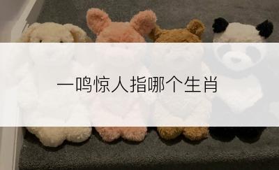 一鸣惊人指哪个生肖