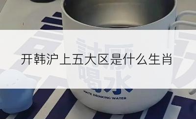 开韩沪上五大区是什么生肖